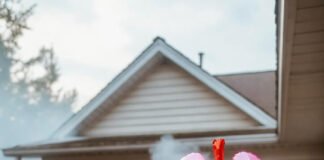 Air Pollution and Lung Health: What You Can Do Quirky lungs float above burger wrapper haze