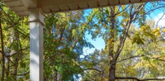 How Smoking Affects Your Respiratory System Long-Term Ohio back porch in fall, failed quit attempt