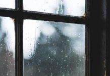 Early Warning Signs of Respiratory Problems Forgotten inhaler in misty PNW rain