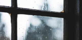 Early Warning Signs of Respiratory Problems Forgotten inhaler in misty PNW rain