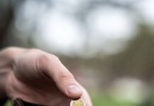 How to Create a Meal Plan That Actually Saves Money? Empty wallet, last coin, fragile hope