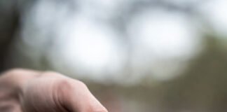 How to Create a Meal Plan That Actually Saves Money? Empty wallet, last coin, fragile hope