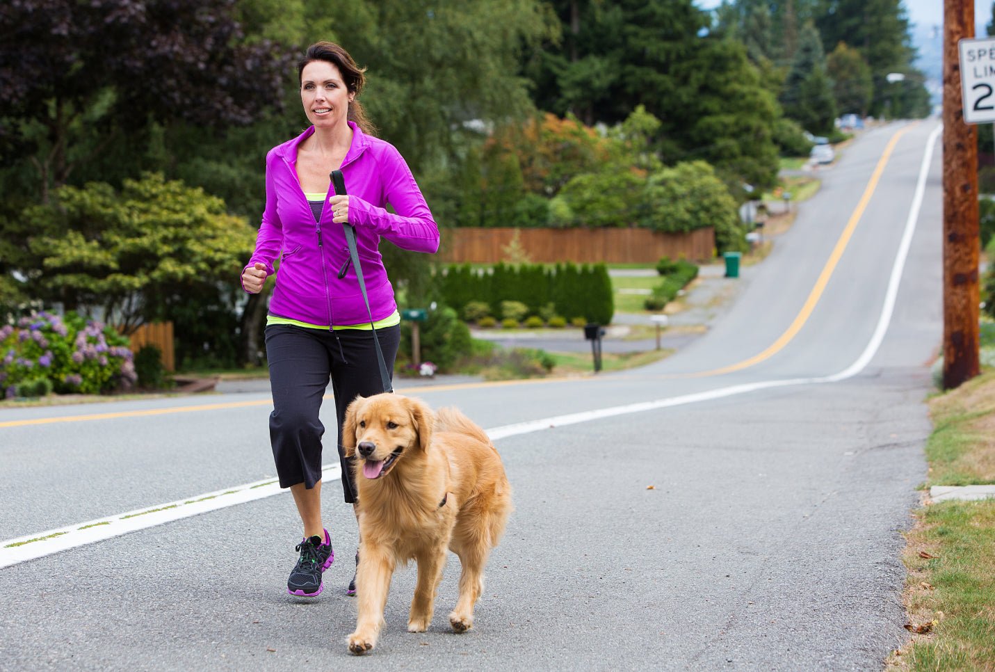 How Much Exercise Does a Dog Need? – A Pup Above