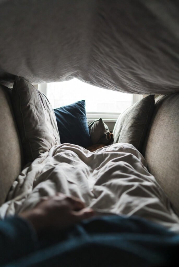 Electric blanket nest with dog support